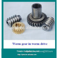 C45 Steel worm gear and worm shaft